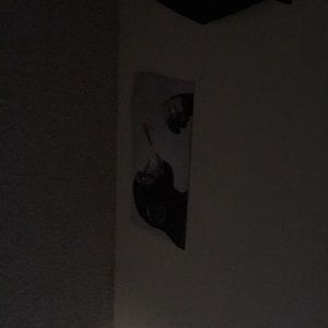 Meet your Posher, Miguel